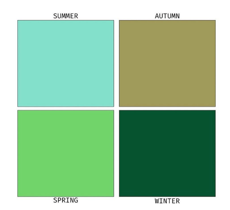 seasonal color analysis